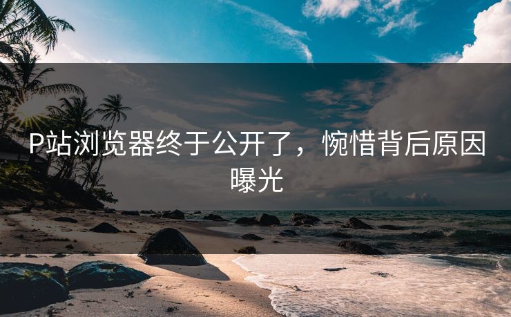 P站浏览器终于公开了，惋惜背后原因曝光