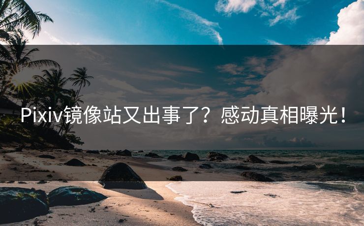 Pixiv镜像站又出事了？感动真相曝光！
