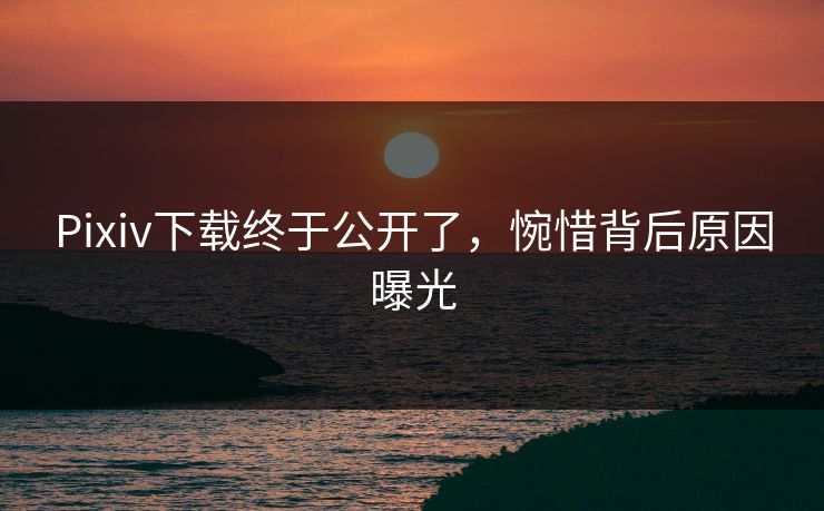Pixiv下载终于公开了，惋惜背后原因曝光
