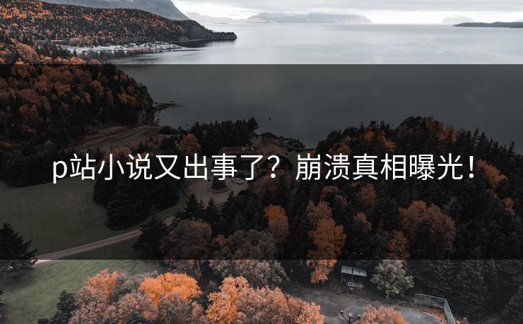 p站小说又出事了？崩溃真相曝光！