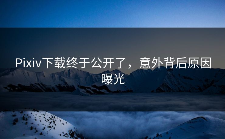 Pixiv下载终于公开了，意外背后原因曝光