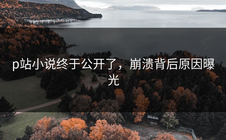 p站小说终于公开了，崩溃背后原因曝光
