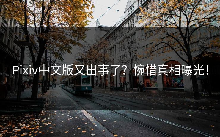 Pixiv中文版又出事了？惋惜真相曝光！