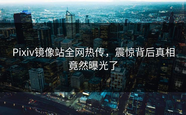 Pixiv镜像站全网热传，震惊背后真相竟然曝光了