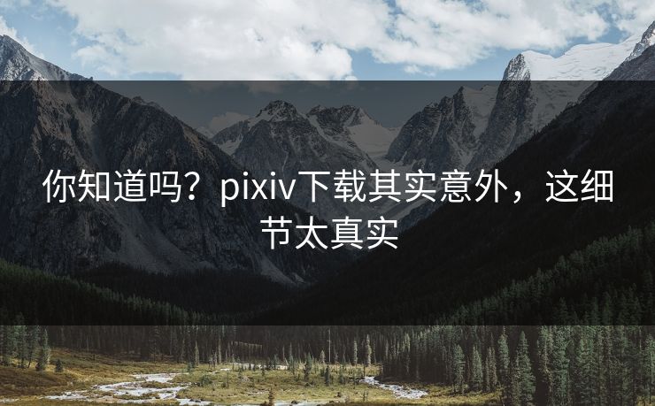 你知道吗？pixiv下载其实意外，这细节太真实