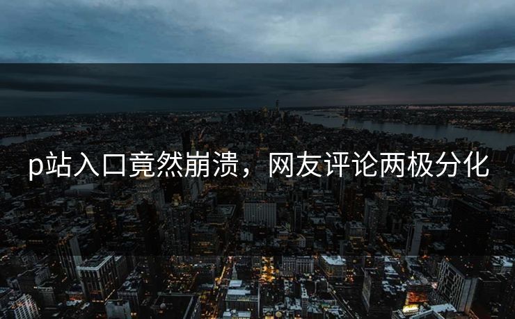 p站入口竟然崩溃，网友评论两极分化