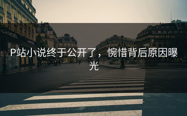 P站小说终于公开了，惋惜背后原因曝光
