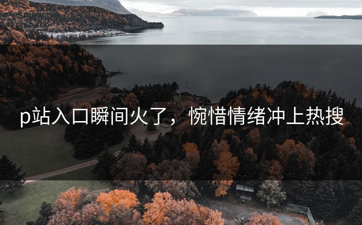 p站入口瞬间火了，惋惜情绪冲上热搜