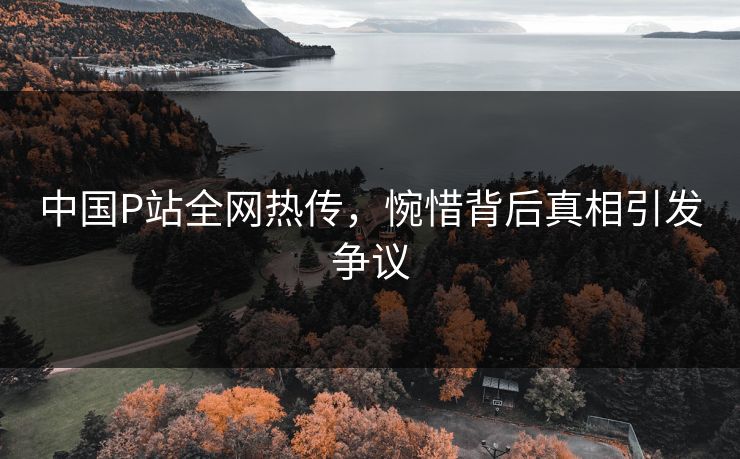 中国P站全网热传，惋惜背后真相引发争议