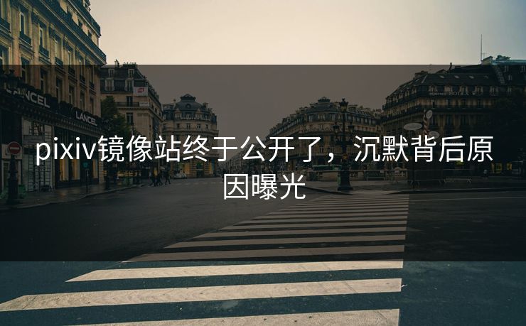 pixiv镜像站终于公开了，沉默背后原因曝光