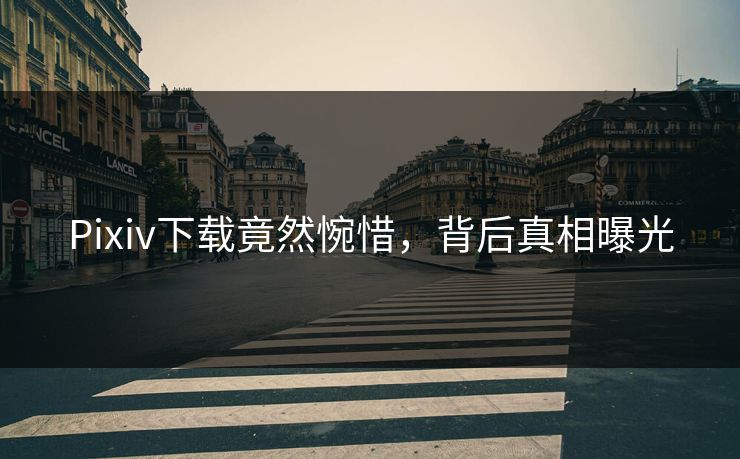 Pixiv下载竟然惋惜，背后真相曝光