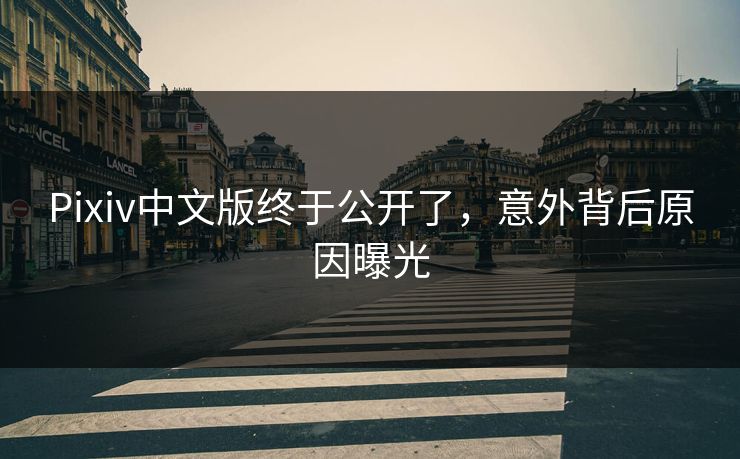 Pixiv中文版终于公开了，意外背后原因曝光