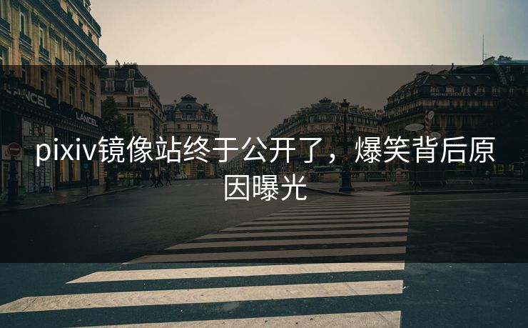 pixiv镜像站终于公开了，爆笑背后原因曝光
