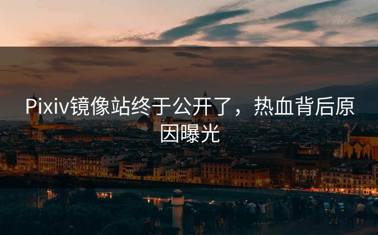 Pixiv镜像站终于公开了，热血背后原因曝光