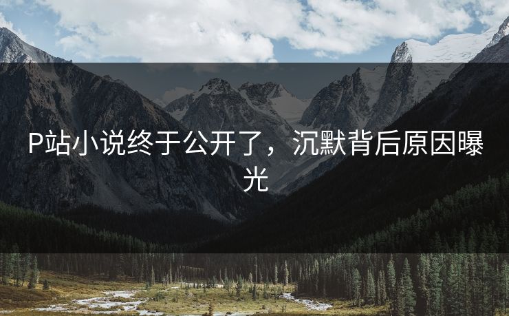 P站小说终于公开了，沉默背后原因曝光