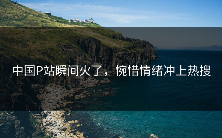 中国P站瞬间火了，惋惜情绪冲上热搜