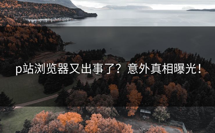 p站浏览器又出事了？意外真相曝光！