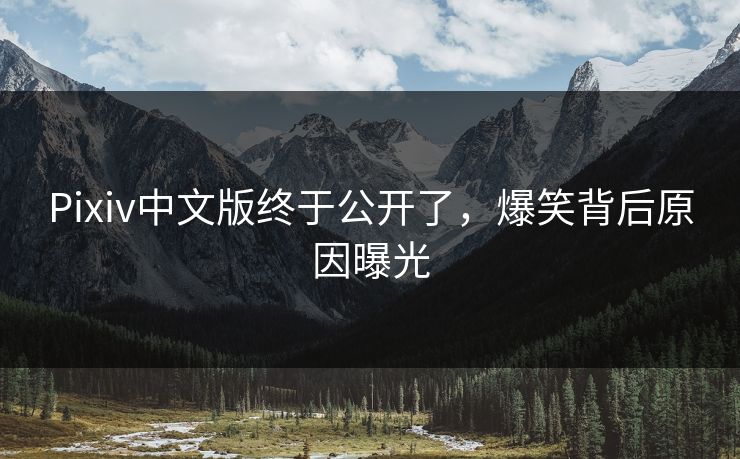 Pixiv中文版终于公开了，爆笑背后原因曝光