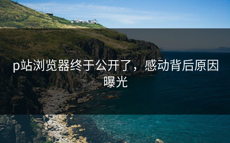 p站浏览器终于公开了，感动背后原因曝光