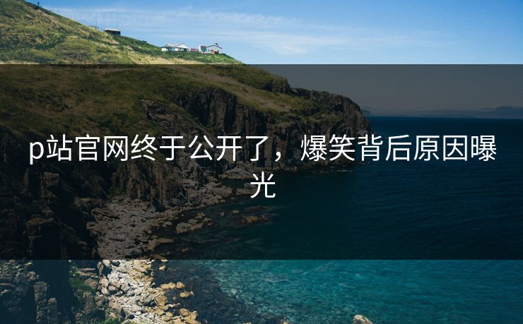 p站官网终于公开了，爆笑背后原因曝光