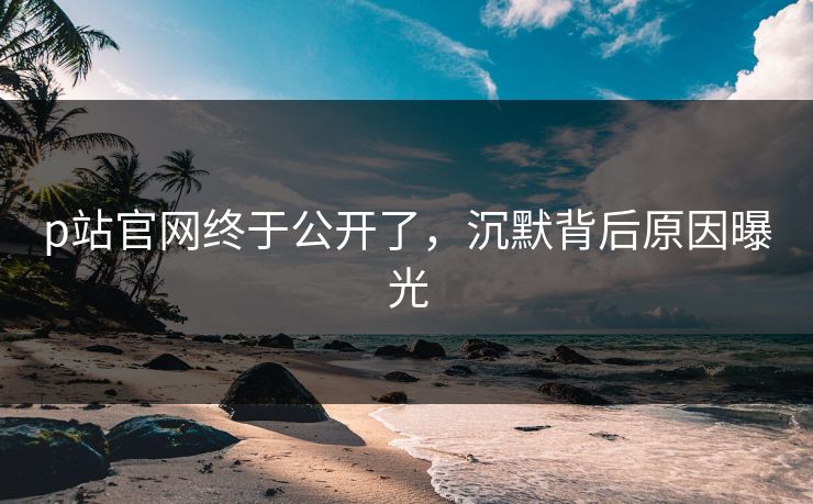 p站官网终于公开了，沉默背后原因曝光