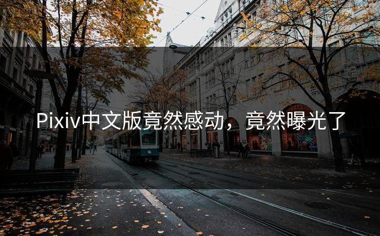 Pixiv中文版竟然感动，竟然曝光了