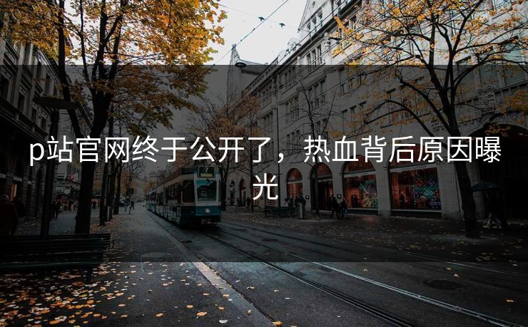 p站官网终于公开了，热血背后原因曝光