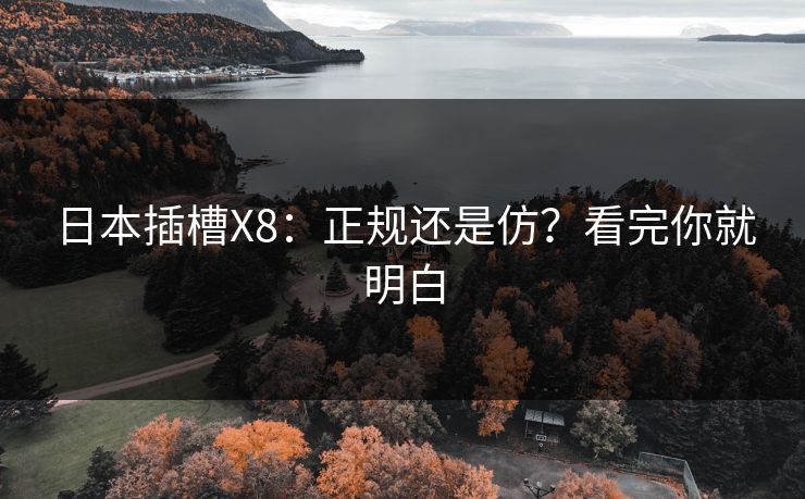 日本插槽X8：正规还是仿？看完你就明白